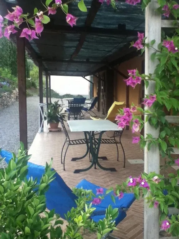 Agriturismo Podere Mulinaccio Villa Ribolla Farm stay