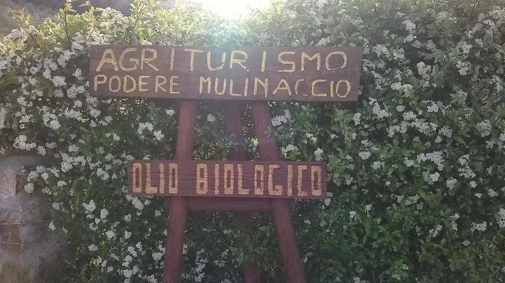 Agriturismo Podere Mulinaccio Villa Ribolla Farm stay