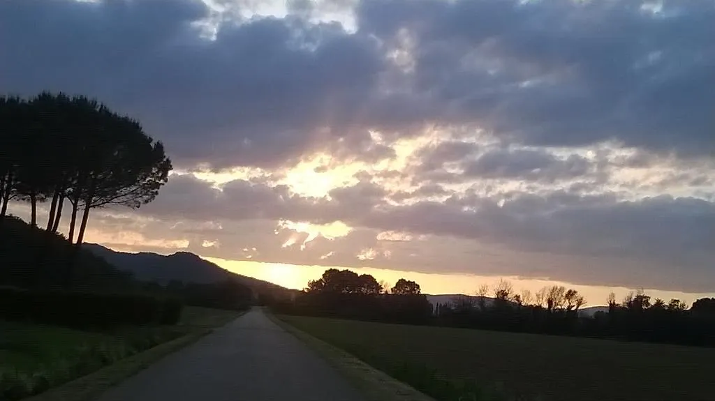 Farm stay Agriturismo Podere Mulinaccio Villa Ribolla Italy